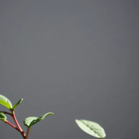 Jaka fuga do białych płytek łazienka